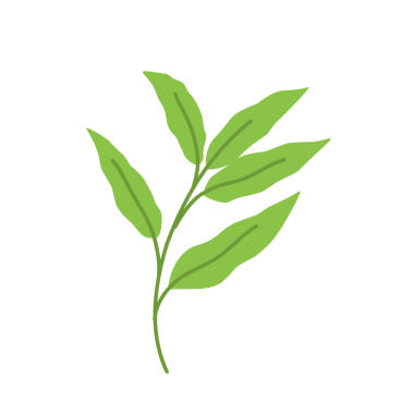 Basit yeşil yaprak çizimi 
