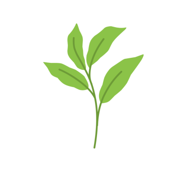 Basit yeşil yaprak çizimi 