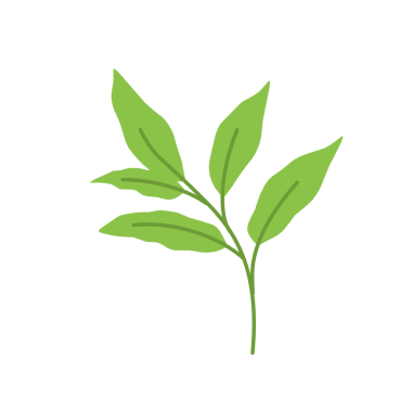 Basit yeşil yaprak çizimi 