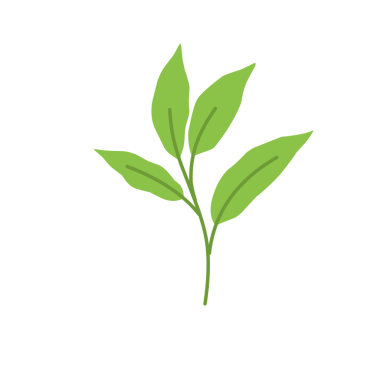 Basit yeşil yaprak çizimi 