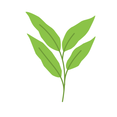 Basit yeşil yaprak çizimi 