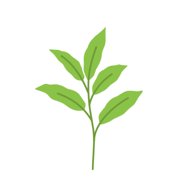 Basit yeşil yaprak çizimi 