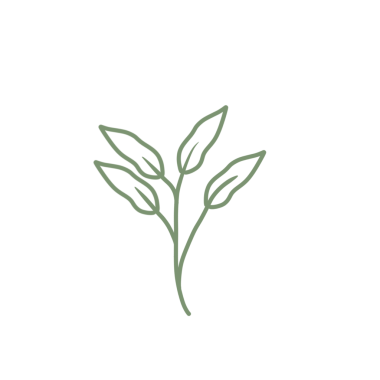 Renkli çizgili sanat yaprağı çizimi. Yeşil yaprak çizimi. El çizimi yaprak çizimi. Basit yaprak illüstrasyonu 