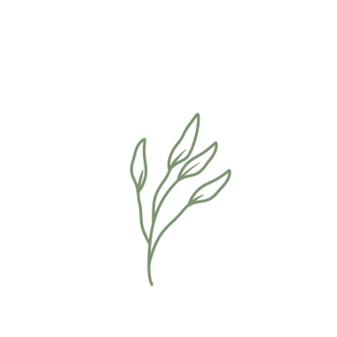 Renkli çizgili sanat yaprağı çizimi. Yeşil yaprak çizimi. El çizimi yaprak çizimi. Basit yaprak illüstrasyonu 