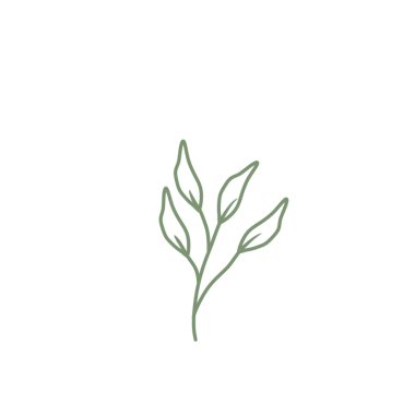 Renkli çizgili sanat yaprağı çizimi. Yeşil yaprak çizimi. El çizimi yaprak çizimi. Basit yaprak illüstrasyonu 