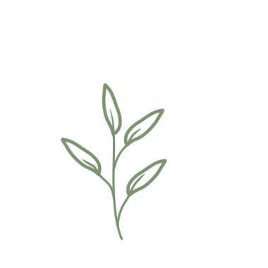 Renkli çizgili sanat yaprağı çizimi. Yeşil yaprak çizimi. El çizimi yaprak çizimi. Basit yaprak illüstrasyonu 