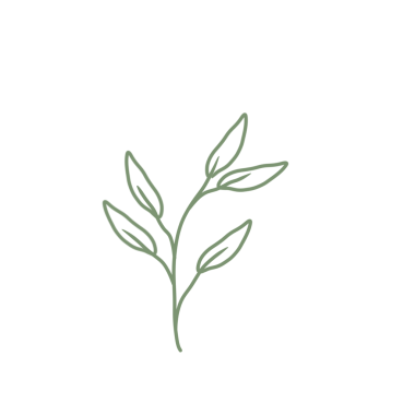 Renkli çizgili sanat yaprağı çizimi. Yeşil yaprak çizimi. El çizimi yaprak çizimi. Basit yaprak illüstrasyonu 