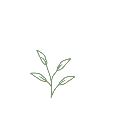 Renkli çizgili sanat yaprağı çizimi. Yeşil yaprak çizimi. El çizimi yaprak çizimi. Basit yaprak illüstrasyonu 