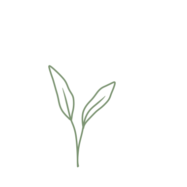 Renkli çizgili sanat yaprağı çizimi. Yeşil yaprak çizimi. El çizimi yaprak çizimi. Basit yaprak illüstrasyonu 