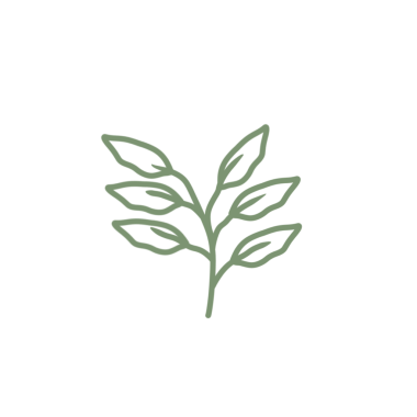 Renkli çizgili sanat yaprağı çizimi. Yeşil yaprak çizimi. El çizimi yaprak çizimi. Basit yaprak illüstrasyonu 