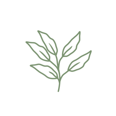 Renkli çizgili sanat yaprağı çizimi. Yeşil yaprak çizimi. El çizimi yaprak çizimi. Basit yaprak illüstrasyonu 