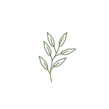 Renkli çizgili sanat yaprağı çizimi. Yeşil yaprak çizimi. El çizimi yaprak çizimi. Basit yaprak illüstrasyonu 