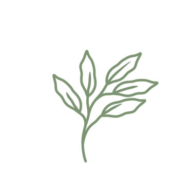 Renkli çizgili sanat yaprağı çizimi. Yeşil yaprak çizimi. El çizimi yaprak çizimi. Basit yaprak illüstrasyonu 