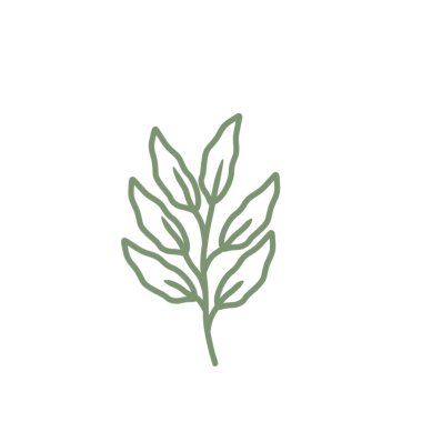 Renkli çizgili sanat yaprağı çizimi. Yeşil yaprak çizimi. El çizimi yaprak çizimi. Basit yaprak illüstrasyonu 