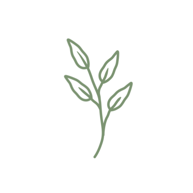 Renkli çizgili sanat yaprağı çizimi. Yeşil yaprak çizimi. El çizimi yaprak çizimi. Basit yaprak illüstrasyonu 