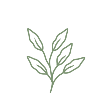 Renkli çizgili sanat yaprağı çizimi. Yeşil yaprak çizimi. El çizimi yaprak çizimi. Basit yaprak illüstrasyonu 