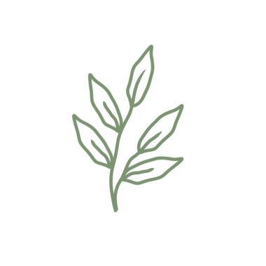 Renkli çizgili sanat yaprağı çizimi. Yeşil yaprak çizimi. El çizimi yaprak çizimi. Basit yaprak illüstrasyonu 