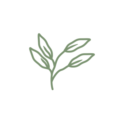 Renkli çizgili sanat yaprağı çizimi. Yeşil yaprak çizimi. El çizimi yaprak çizimi. Basit yaprak illüstrasyonu 