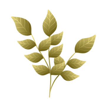 Altın yaprak tasviri. Yaprakların çizimi 