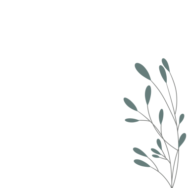 Minimalist yaprak çizimi. Düğün davetiyesi dekorasyonu için yaprak çizimi. Yaprak dekorasyonu illüstrasyonu 