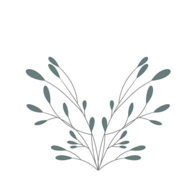 Minimalist yaprak çizimi. Düğün davetiyesi dekorasyonu için yaprak çizimi. Yaprak dekorasyonu illüstrasyonu 