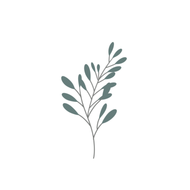 Minimalist yaprak çizimi. Düğün davetiyesi dekorasyonu için yaprak çizimi. Yaprak dekorasyonu illüstrasyonu 