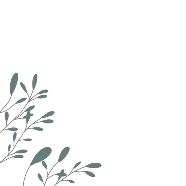 Minimalist yaprak çizimi. Düğün davetiyesi dekorasyonu için yaprak çizimi. Yaprak dekorasyonu illüstrasyonu 