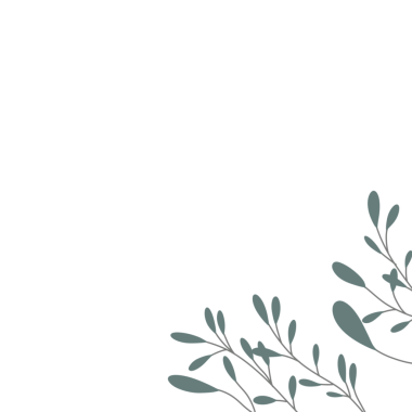 Minimalist yaprak çizimi. Düğün davetiyesi dekorasyonu için yaprak çizimi. Yaprak dekorasyonu illüstrasyonu 