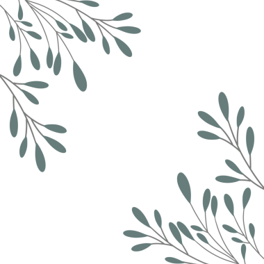 Minimalist yaprak çizimi. Düğün davetiyesi dekorasyonu için yaprak çizimi. Yaprak dekorasyonu illüstrasyonu 