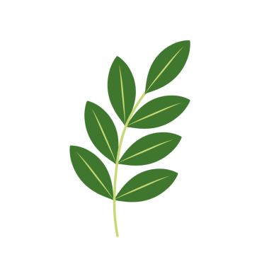 Dallı yeşil yaprakların tasviri