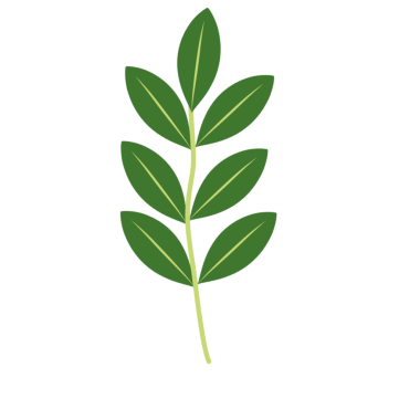 Dallı yeşil yaprakların tasviri