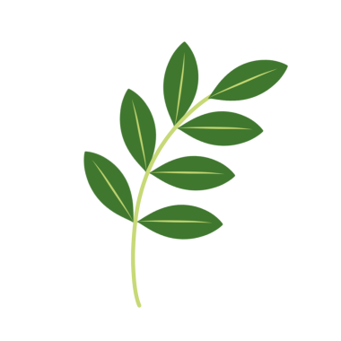 Dallı yeşil yaprakların tasviri