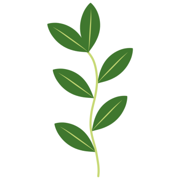 Dallı yeşil yaprakların tasviri