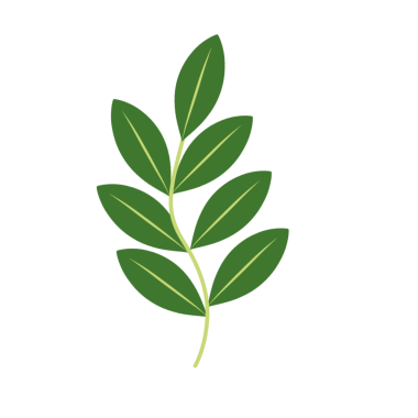 Dallı yeşil yaprakların tasviri