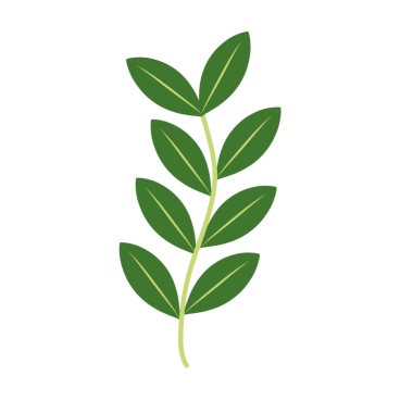 Dallı yeşil yaprakların tasviri