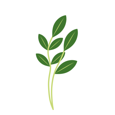 Dallı yeşil yaprakların tasviri