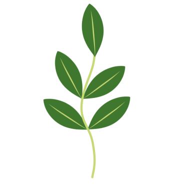 Dallı yeşil yaprakların tasviri