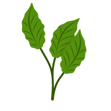 Yeşil yaprak çizimi. Süslü bitki çizimi, elle çizilmiş yaprak çizimi 