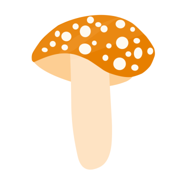 Renkli mantar çizimi. Orman mantarları. Mantar şapkalı. Mantar düz tasarım. Çizgi film tarzında mantar çizimi