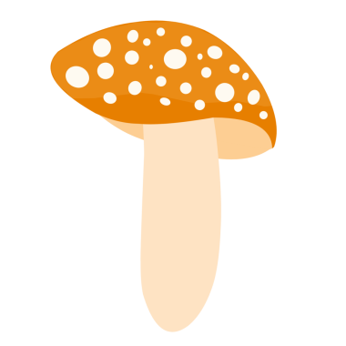 Renkli mantar çizimi. Orman mantarları. Mantar şapkalı. Mantar düz tasarım. Çizgi film tarzında mantar çizimi