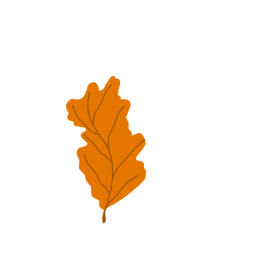 Portakal rengi sonbahar yaprakları. El çizimi yaprak çizimi. Düşen yapraklar. Sonbahar yaprağı şekilleri. Yaprak illüstrasyonu