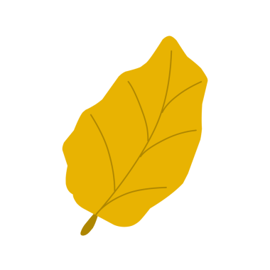 Sarı sonbahar yaprakları. Düşen yapraklar. Sonbahar yaprağı şekilleri. Yaprak çizimi. El çizimi yaprak illüstrasyonu 