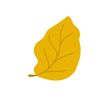 Sarı sonbahar yaprakları. Düşen yapraklar. Sonbahar yaprağı şekilleri. Yaprak çizimi. El çizimi yaprak illüstrasyonu 