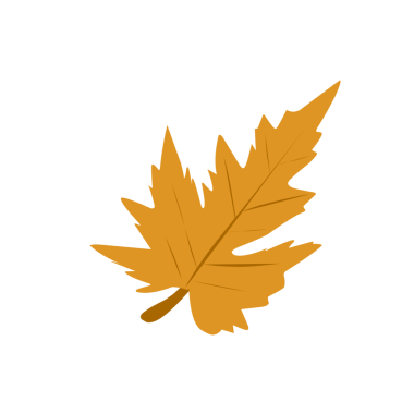 Sarı sonbahar yaprakları. Düşen yapraklar. Sonbahar yaprağı şekilleri. Yaprak illüstrasyonu