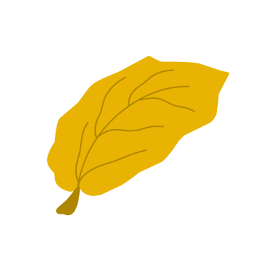 Sarı sonbahar yaprakları. Düşen yapraklar. Sonbahar yaprağı şekilleri. Yaprak çizimi. El çizimi yaprak illüstrasyonu 