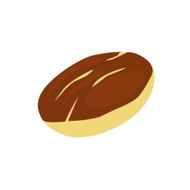 Illustration of jengkol fruit. Flat design Illustration of jengkol. Illustration of raw jengkol salad