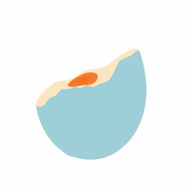 Ördek yumurtalarının resmi. Yumurta illüstrasyonu. Yumurta dilimi illüstrasyonu, haşlanmış yumurta illüstrasyonu. Tuzlu yumurta yassı tasarımı. Mavi kabuklu yumurta çizimi