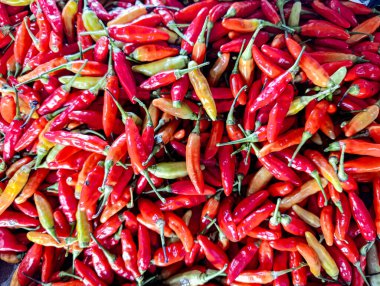Bir yığın küçük kırmızı biber, bazıları yeşil saplı, canlı, renkli bir sahne yaratıyor. Mutfak malzemeleri ya da yiyeceklerle ilgili promosyonlar için ideal..
