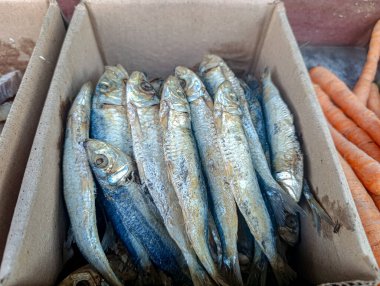 Turuncu havuçların yanındaki karton kutuda yığılmış sayısız gümüş balık, yiyecek veya market temalı pazarlama için uygun doğal ışıklandırmayla basit bir kompozisyon oluşturuyor..