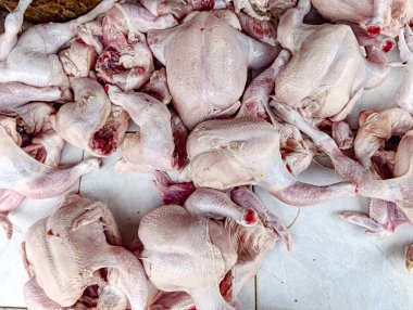 Çok sayıda pişmemiş tavuk, açık pembe renk ve ham doku sergilenen beyaz fayanslı bir yüzey üzerine istiflenmiş olarak yatar. Mutfak ya da tarım endüstrisi için idealdir..